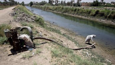 368C3338 F572 4211 B60B B8217E812862