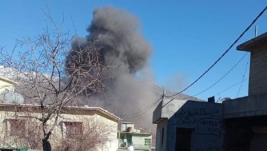 نفوق 100 رأس من المواشي بقصف تركي لأرزاق المدنيين بدهوك 6 376B1EB1 6589 46B1 809B 75E7AB888709