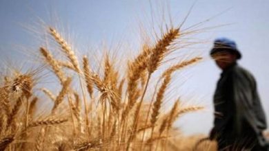 377537C5 042C 4397 99BB 117F697DD8B9