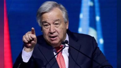 38D63DAE 9C8A 4B63 9D3B 73D3F9EA5770