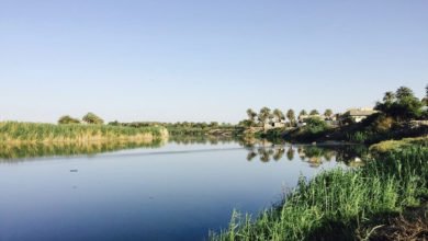 3D563C8B 9AFD 4D32 9616 1E513EE750DD