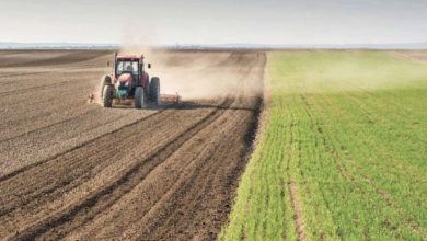 412CC2DD F72E 40ED 82BC 990249F29102