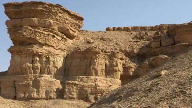 الثقافة تزيح اعتقاد وجود منطقة أثرية مهمة بالنجف 4 421F65BD E489 4469 A122 EE69156CB269