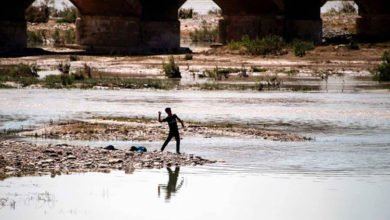 43933BB9 2EDC 4B88 8BFE 720FC312985C