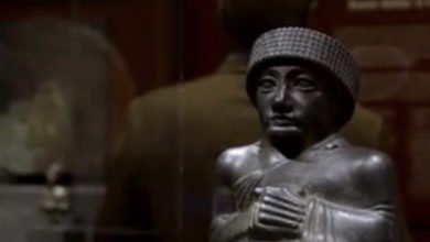 45FD30EC D791 44AB 966A 867DEA40670A