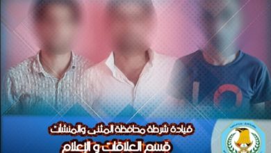 49383FBB FB52 4186 89B6 087EEF0D30C4