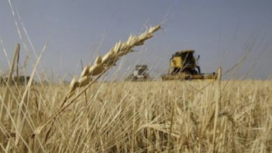 4B4DE997 0BD7 4D1C A75A C6D7A93997A6