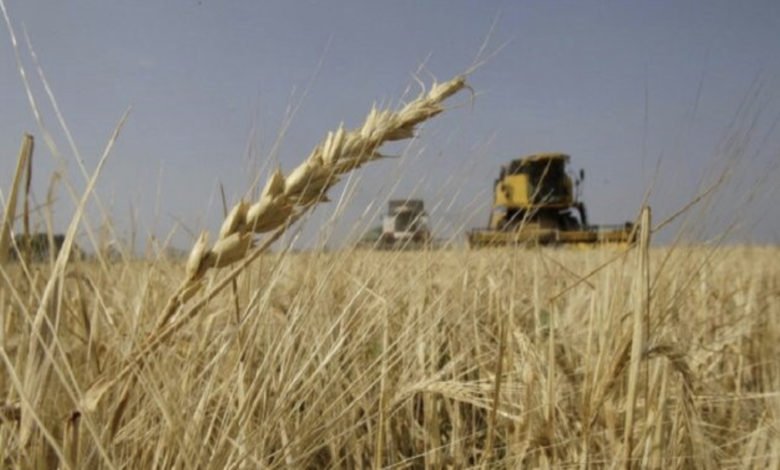 4B4DE997 0BD7 4D1C A75A C6D7A93997A6