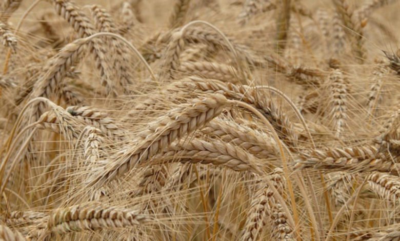 4C013251 A408 4469 910B A706B5AC34CC