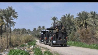 4CE551AB D80F 4E65 909D 8E4FE8C7CA80