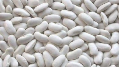 التجارة تحدد موعد توزيع مادة مضافة ضمن البطاقة التموينية 6 4DAA2A5B 7DC5 49B8 9D6B 3218148A6003