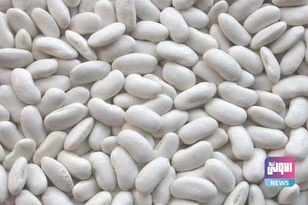 4DAA2A5B 7DC5 49B8 9D6B 3218148A6003