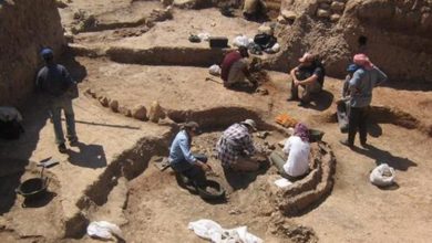 544B1BA8 3C15 440D A57C FD256EFE9B1A