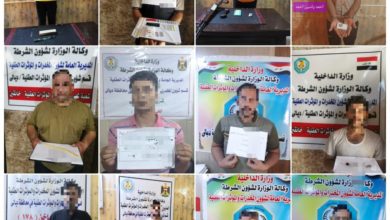 56C04688 910E 4991 9EDE 01C04666FA6C