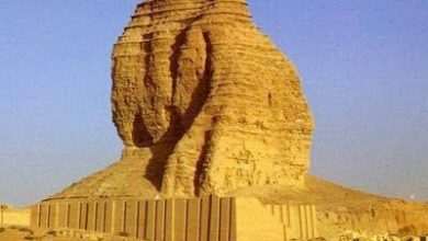 56D68ED6 3622 4899 BEFC BFE7658E8765