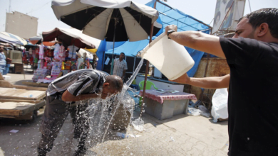 59C1C9F8 91FD 44DE A2F0 0D906999C624