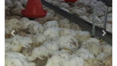 5A384A6B 7F05 4FB7 8D17 4F3F7D4FA3A9