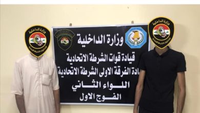 5BB966E4 03D3 4A22 BDAF 61B6E0AE608F