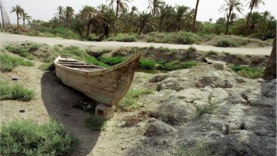 604080C1 DB59 48D2 B317 4AFFF9FF4F1F