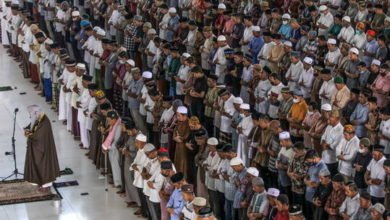 60b8880142360419b446daa3