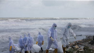 60bc9291423604534d30a876