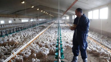 60bf5f6042360469e51bb69e