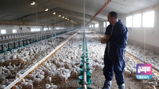 60bf5f6042360469e51bb69e