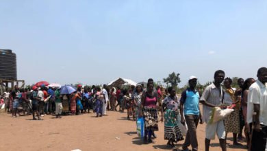 60c05af442360463263ba8b9