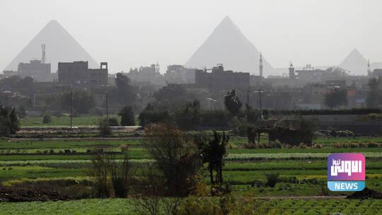 مصر تنجح في زراعة المحصول الأول من نوعه لمواجهة أزمة المياه 1 60c33ec84c59b77c1e299d1f