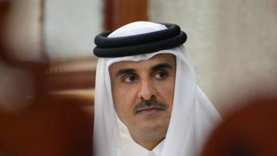 أمير قطر يستقبل سامح شكري حاملا رسالة من الرئيس المصري 4 60c86f7c42360420543b5fff