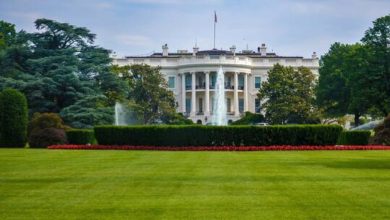 60c89de64c59b769354b93a8