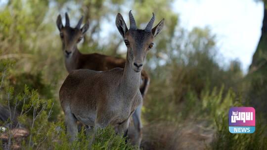 60d025df4c59b7203960ac4d