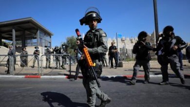 60d1a24c423604360f124154