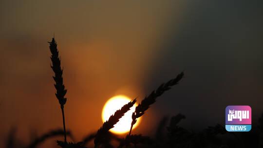 60d1d86942360469636a25a4