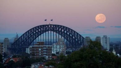 60d6be23423604294e3f29ee