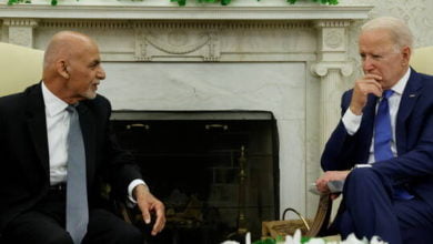 60d6c2004c59b72186516381