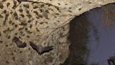 60d8471c4c59b7071b197756