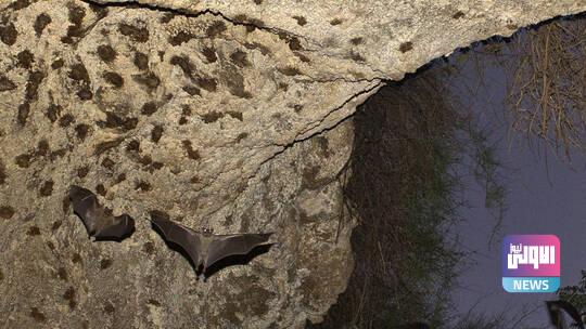 60d8471c4c59b7071b197756