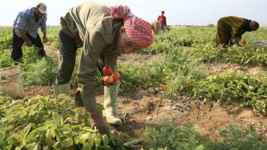 610E4BDA EE22 47F5 BACC A87230B26101