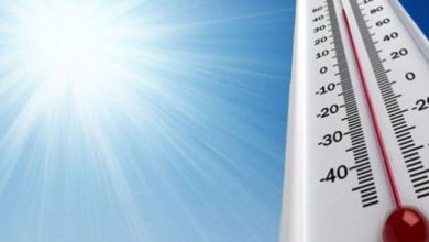 654FF3AB 0D39 4EF1 BBC0 B15A2E806B36