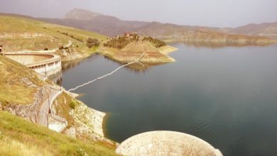 66428649 A8B7 48B0 833A ED45CD509B77