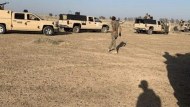 6660DCC9 29D7 4F51 9490 09B2B29FE18C