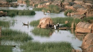 6F2C517B F450 44AB 925B DA5C13D9A6EC