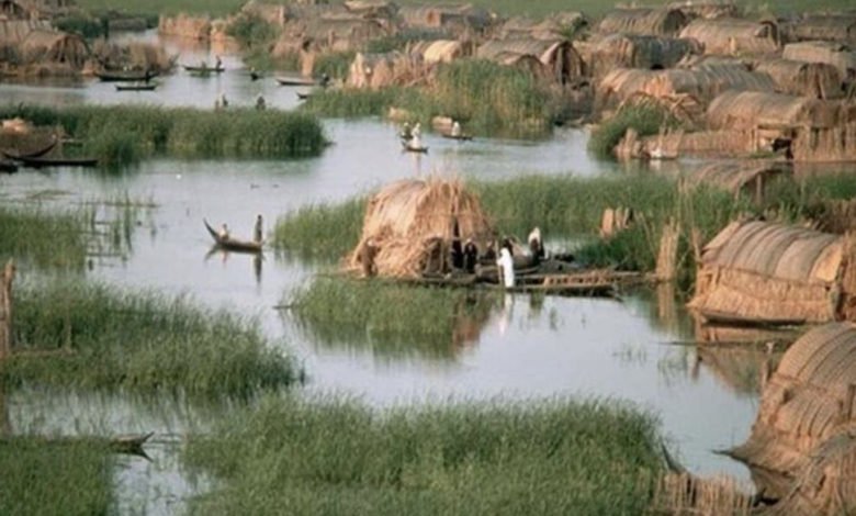 6F2C517B F450 44AB 925B DA5C13D9A6EC