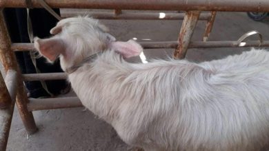 7CD97824 EC05 4E28 BFD7 490B2D05D0D0