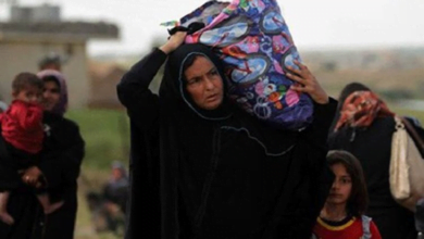 إدارة ناحية جرف الصخر: لا توجد أية بوادر حقيقة لإعادة النازحين إلى المنطقة 6 82DA5B1F F8F3 46BD 8030 8D336DD639D7