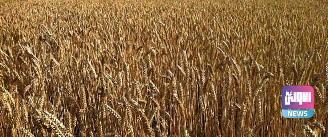 874BC482 2044 420A A847 D6F5528E0C8D