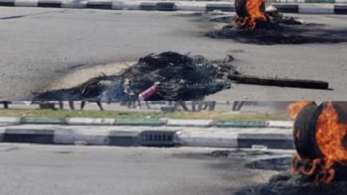 8876DEDB C508 47CF 80A2 C6DE6EDD6A86