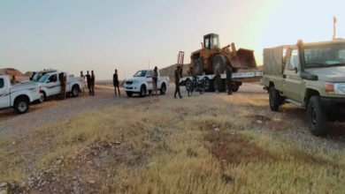 8CCDEA15 82BC 42C6 BC91 6E6FE0CE12BB