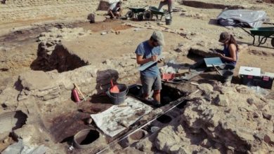 8DBB7C3F A427 4068 81F4 6F62399A75DB